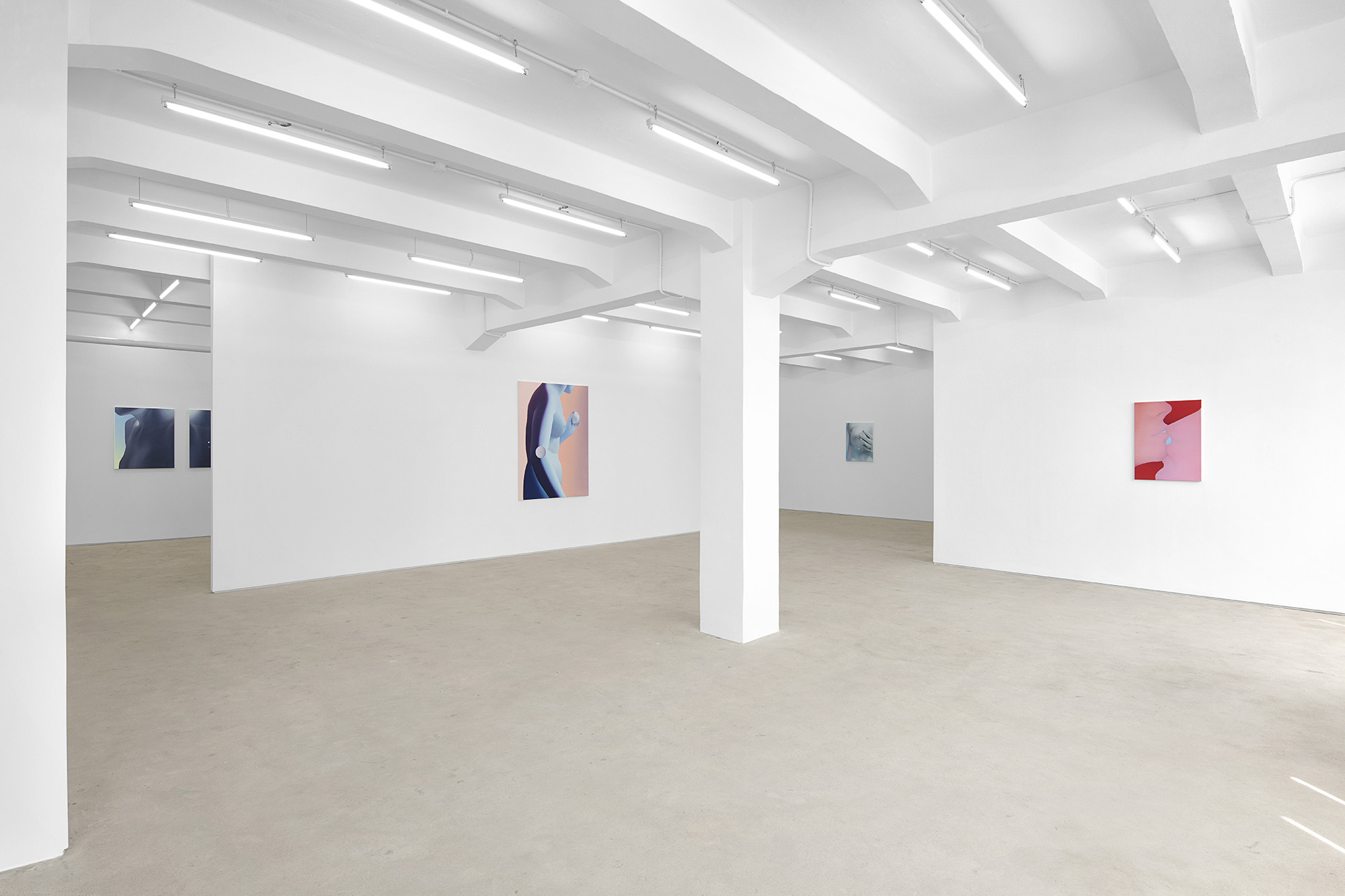 Vivian Greven, The Negatives, solo exhibition at Gallery Vacancy, installation view 6