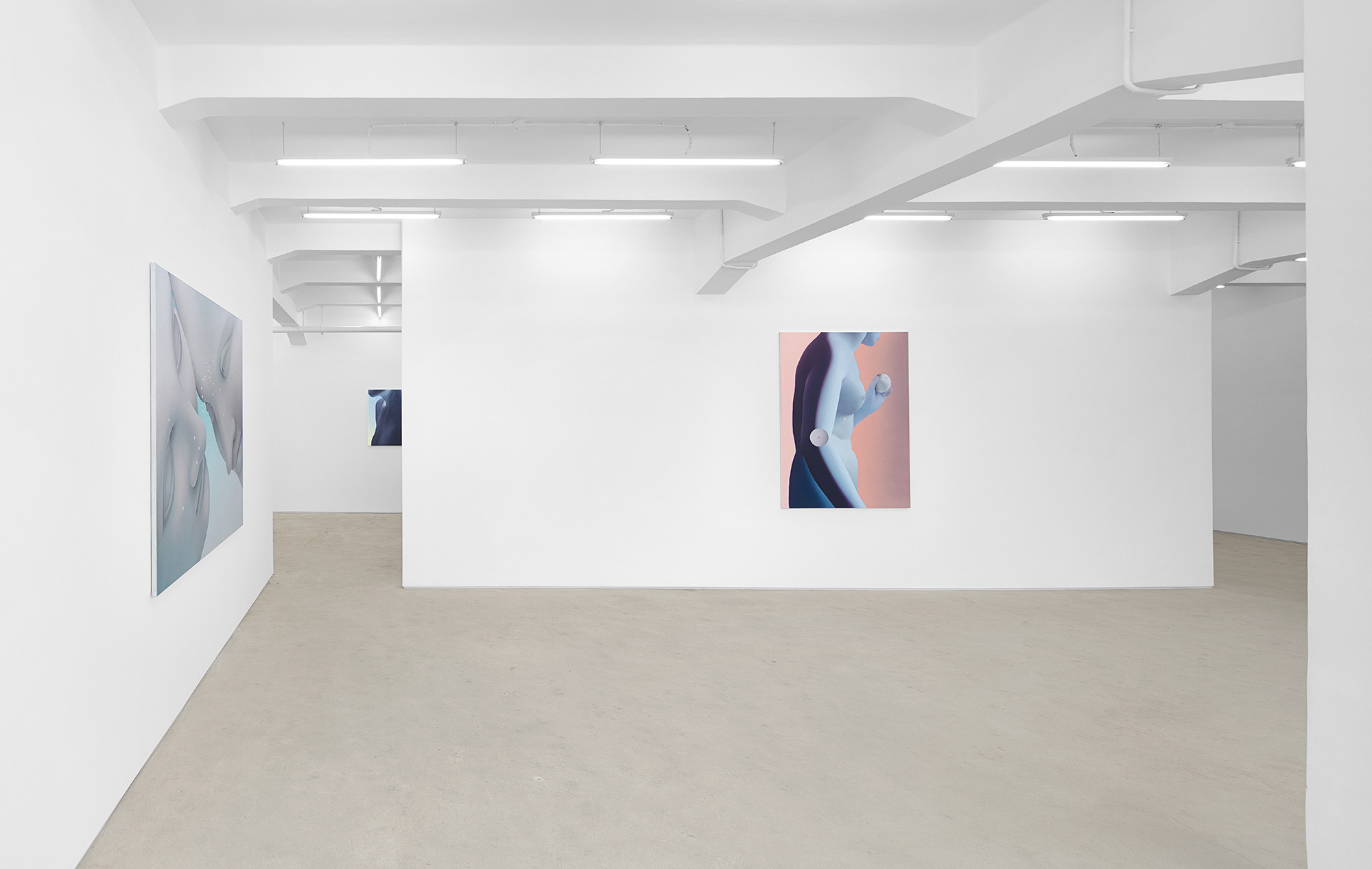Vivian Greven, The Negatives, solo exhibition at Gallery Vacancy, installation view 7