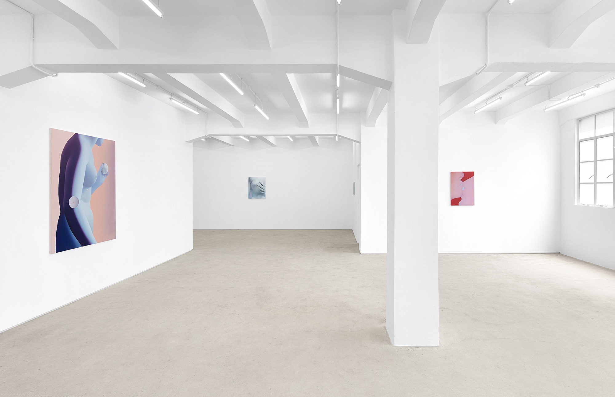 Vivian Greven, The Negatives, solo exhibition at Gallery Vacancy, installation view 8