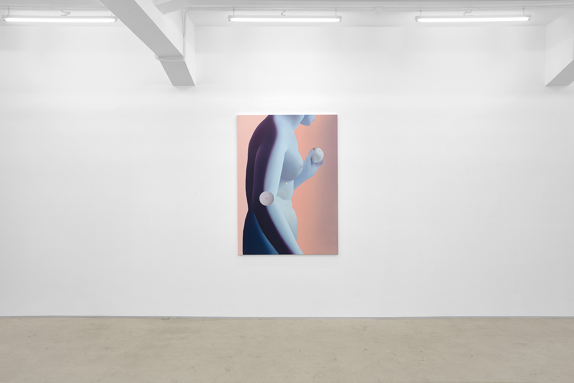 Vivian Greven, The Negatives, solo exhibition at Gallery Vacancy, installation view 10