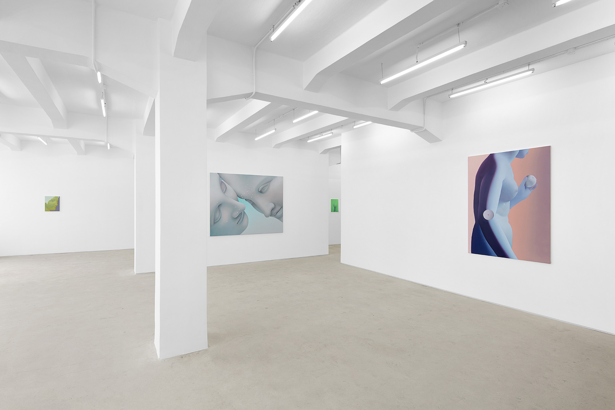 Vivian Greven, The Negatives, solo exhibition at Gallery Vacancy, installation view 13
