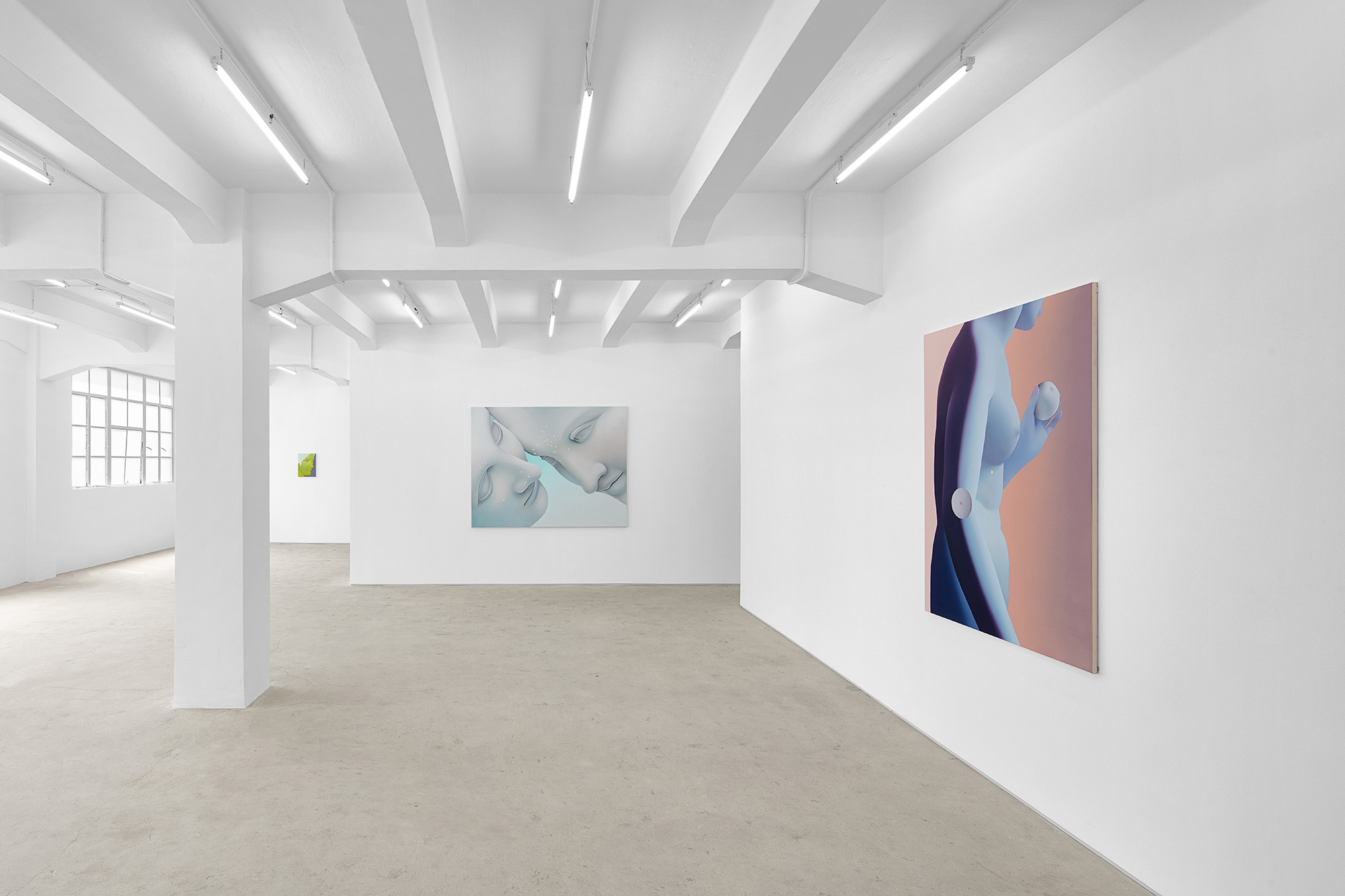 Vivian Greven, The Negatives, solo exhibition at Gallery Vacancy, installation view 14