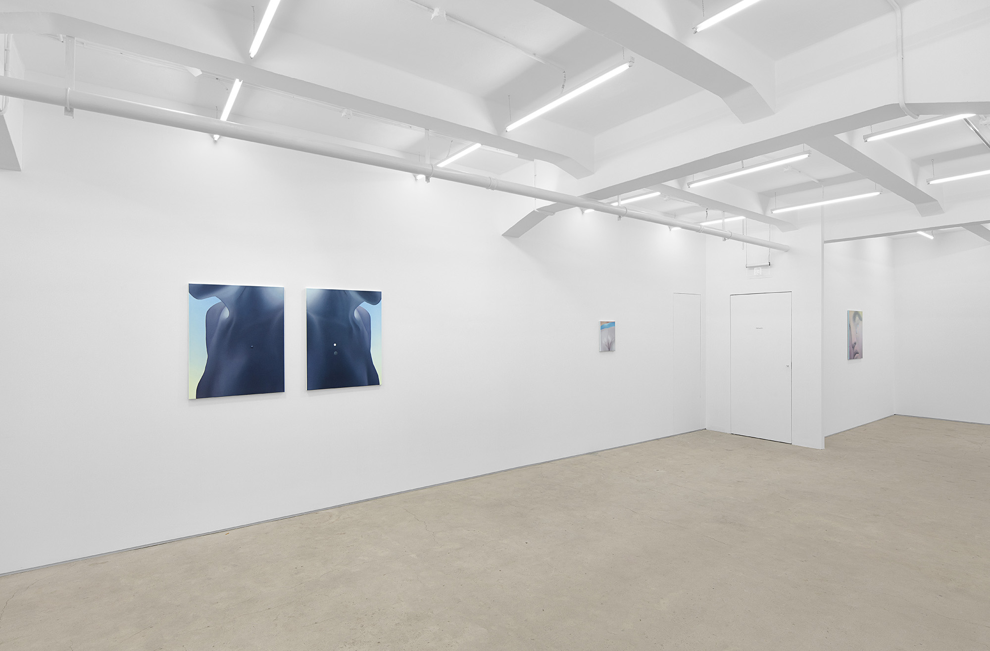 Vivian Greven, The Negatives, solo exhibition at Gallery Vacancy, installation view 25