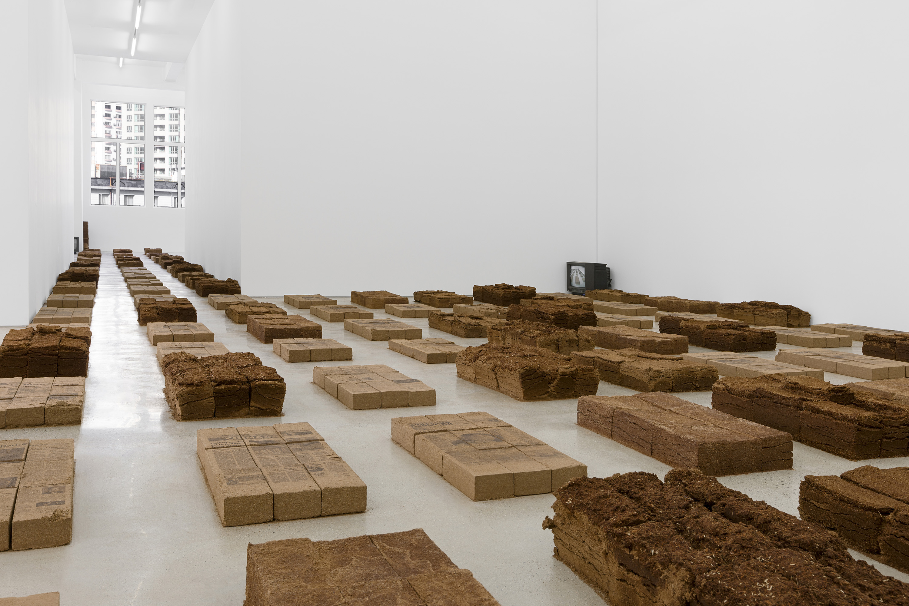 Yiyao Tang solo exhibition Faulting installation view at Gallery Vacancy, 2024.