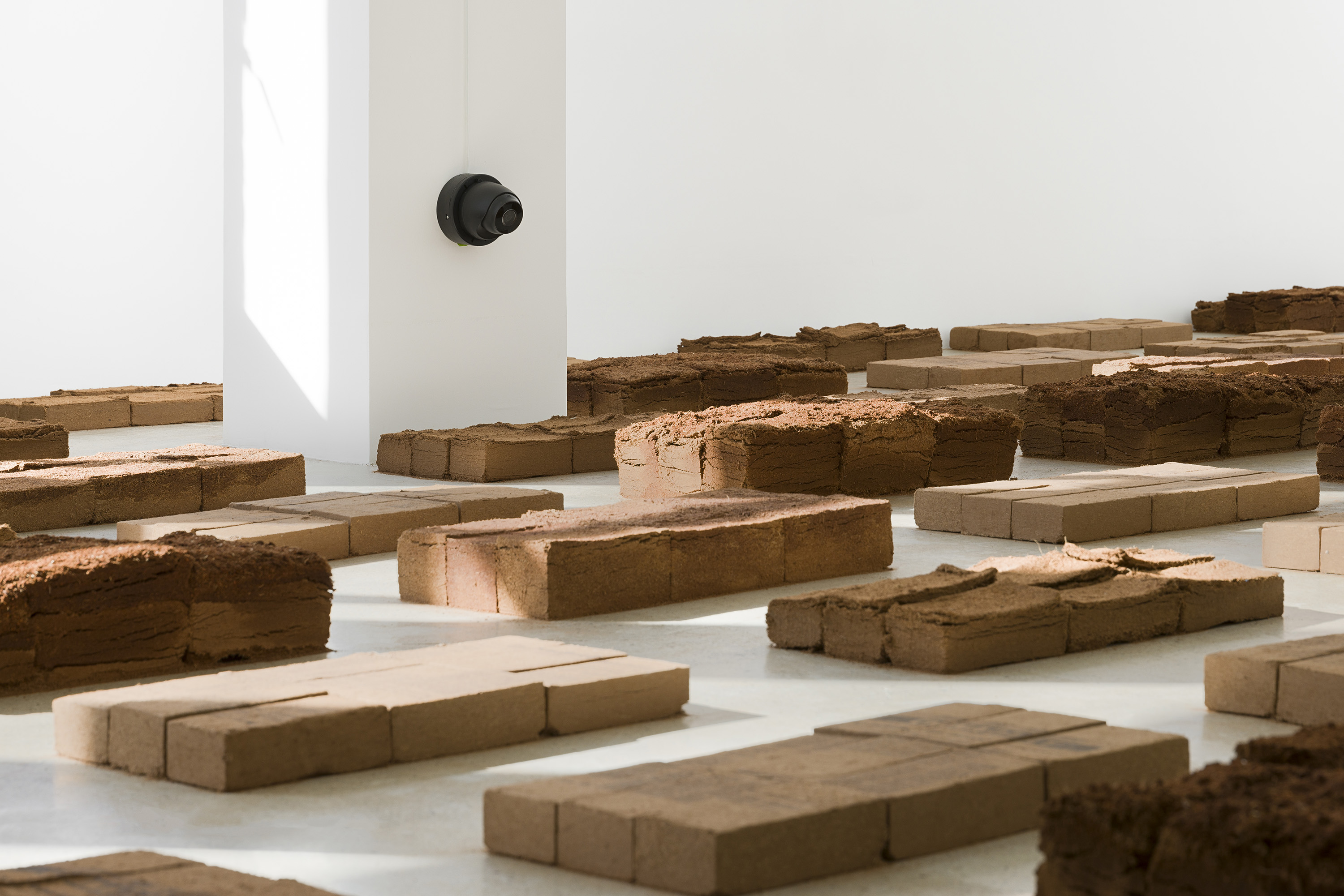 Yiyao Tang solo exhibition Faulting installation view at Gallery Vacancy, 2024.